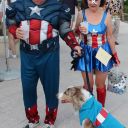 pet masquerade fantasy fest 2013 key west florida 17