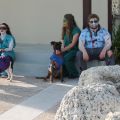 pet masquerade fantasy fest 2013 key west florida 36