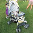 pet masquerade fantasy fest 2013 key west florida 44