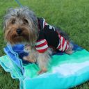 pet masquerade fantasy fest 2013 key west florida 46