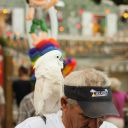 fantasy fest key west 2014 goombay festival 08