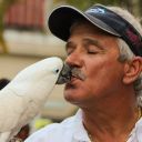 fantasy fest key west 2014 goombay festival 15