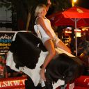 key west cowboy bills bull ride 2011 jun 29 19