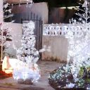 Christmas Night 2013 Key West Florida 61