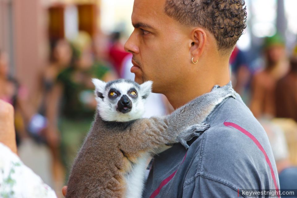 duval street fantasy fest 2014 key west fl 1974