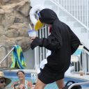 key west dantes pool party 2011 jul 10 45