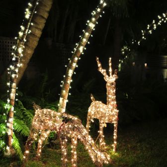 Christmas Nights 2013 (Part 1)