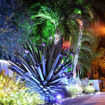 Christmas Nights 2013 (Part 2)