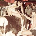 florida key west cowboy bills bull ride 2011 august 03 88158817